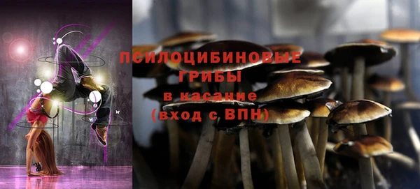 индика Вяземский