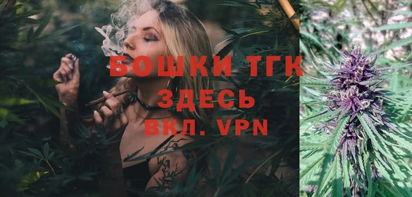 стаф Волосово