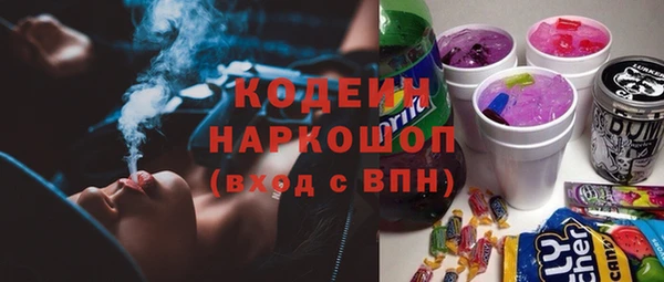 гашик Данков